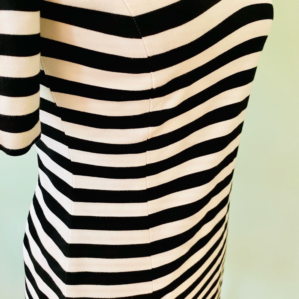 Banana Republic Striped Bodycon Midi Dress - Picture 5 of 9